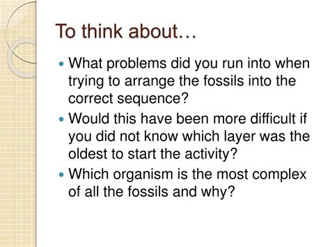 PPT - Fossils and The Law of Superposition PowerPoint Presentation, free download - ID:957375