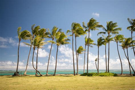 Come See The 3 Best Kapaa Beaches on Kauai Island | Kauai Condo Rentals