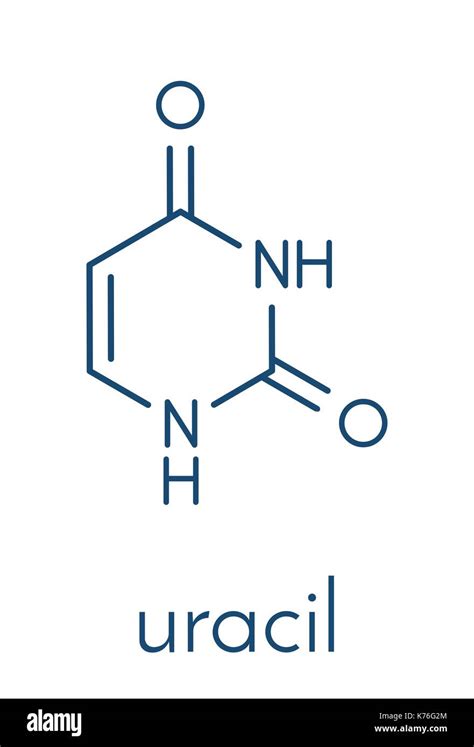 Uracil Structure