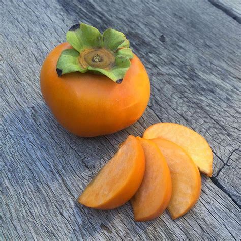 Fuyu Persimmons | Organic Fruit Delivery – Frog Hollow Farm