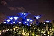 Category:Supertree Grove, Gardens by the Bay, at night - Wikimedia Commons