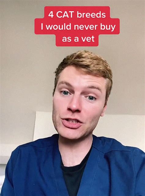 Vet Goes Viral For Sharing Which Cat And Dog Breeds He Would Never Buy – Pup Breeds