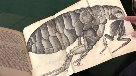 Robert Hooke. Micrographia - YouTube