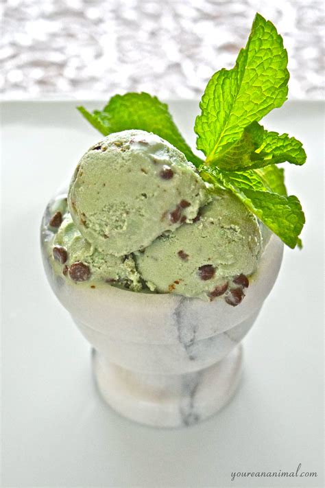 Mint Chocolate Chip Ice Cream (Dairy-Free, Paleo) – Nourish Wild