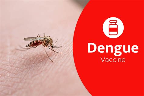 The Dengue Vaccine - TravelSafe Immunization Clinic