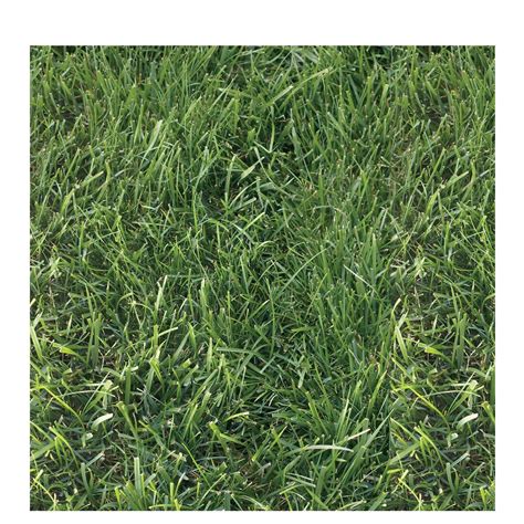 Grass Scrapbook Paper | Hobby Lobby | 879973