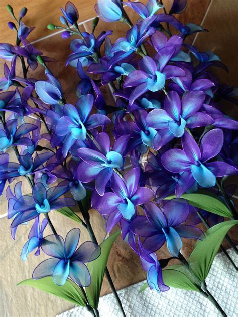 Blue Dendrobium Orchid Plants For Sale | Orchid Flowers