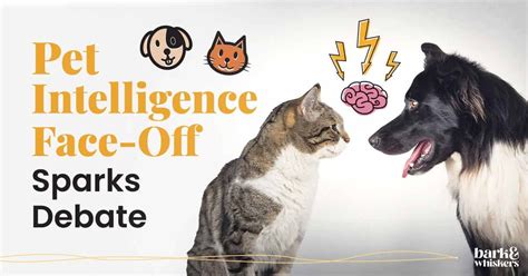 Dog vs. Cat: Pet Intelligence Face-Off Sparks Debate