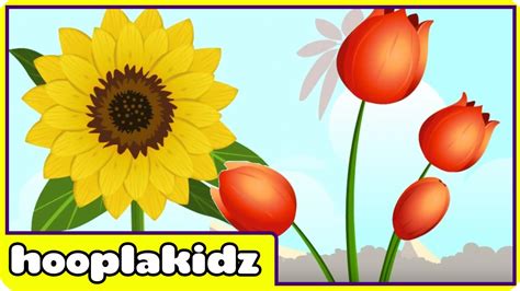 Preschool Activity | Learn About Flowers 2 | HooplaKidz - YouTube