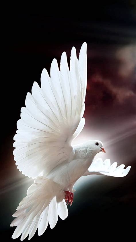 Easter Dove Wallpapers - Wallpaper Cave