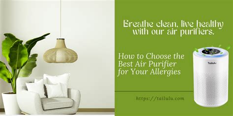 How to Choose the Best Air Purifier for Your Allergies – Tailulu