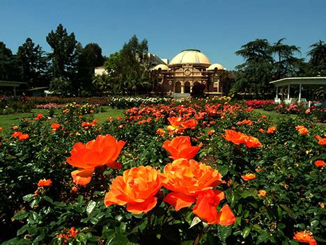 Exposition Park Rose Garden, Los Angeles, CA - California Beaches