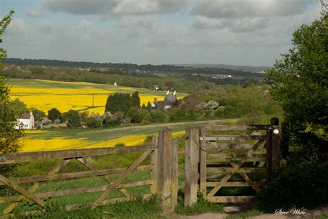 "A walk in the Country" by Steve White at PicturesofEngland.com