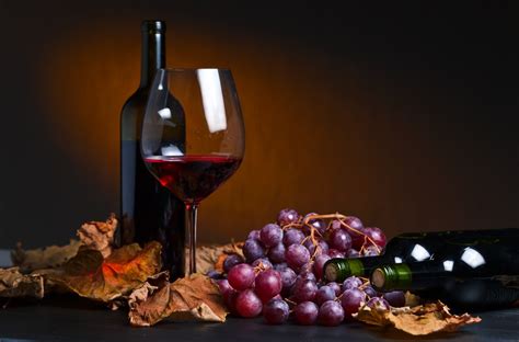 Dry Red Wine Types and Characteristics - The Premium Selection