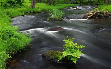 River Across Wallpapers | HD Wallpapers | ID #6615