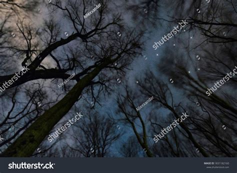 Monoceros Star Constellation Night Sky Cluster Stock Photo 1831182160 | Shutterstock