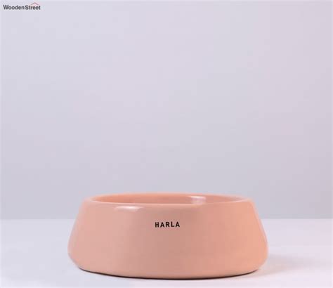 Buy Harla Tulip Fantasy Flat Ceramic Planters (Pink) Online in India at ...
