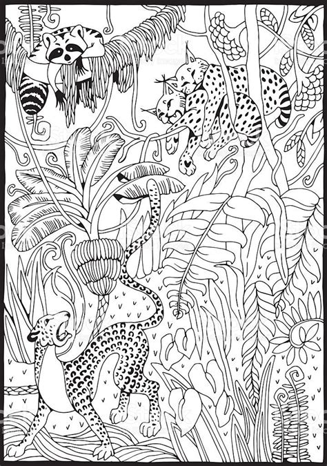 Leopard, Luchs und Waschbär im Dschungel.Malvorlage.... | Jungle coloring pages, Adult coloring ...