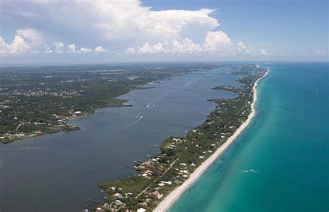 Field Notes and Photos: Barrier Island Walkabout with Lemon Bay Conservancy