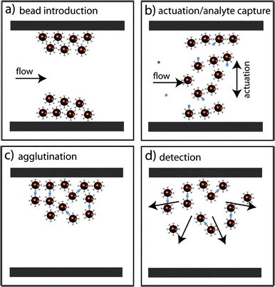 Agglutination