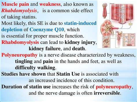 Lipitor Side Effects Fatigue