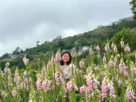 Northern Blossom Flower Farm: A Blooming Paradise in Atok, Benguet - Tara Lets Anywhere