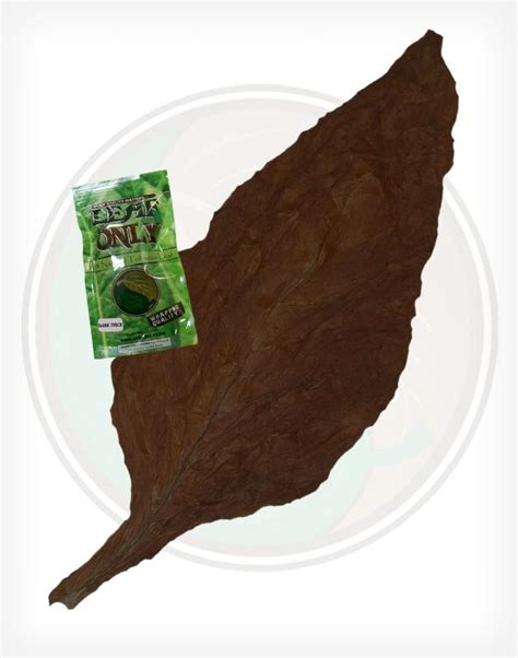 Single Fronto Leaf - Dark. Leaf Only Packaged Fronto Wrapper Tobacco Leaf.