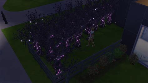 Planted way too many plasma fruit trees — The Sims Forums