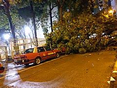 Category:Effects of Typhoon Mangkhut in Hong Kong - Wikimedia Commons