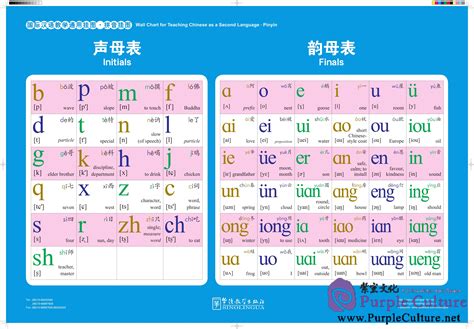 Chinese Pinyin Table Pdf | Brokeasshome.com