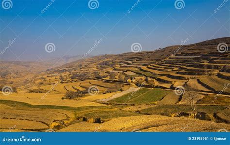 Loess Plateau farmland stock image. Image of farmland - 28395951