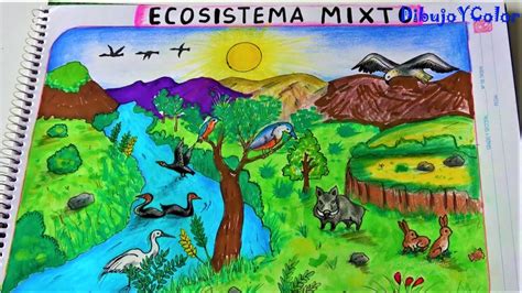Ecosistemas Dibujo De Un Ecosistema Ecosistema Biologia Porn Sex | Porn Sex Picture