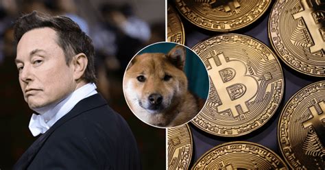 Elon Musk Offers One Million Dogecoin for Evidence Regarding the ...