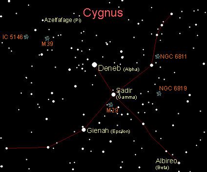 Cygnus