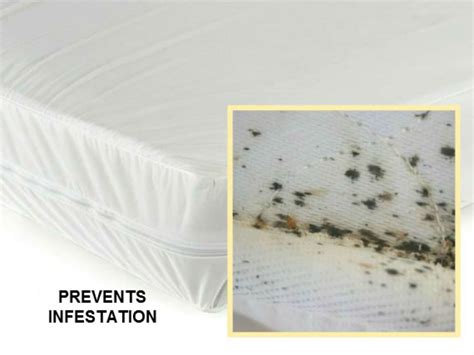 Why Is Mattress Cover Bed Bugs So Famous? - The Best Mattress 2021