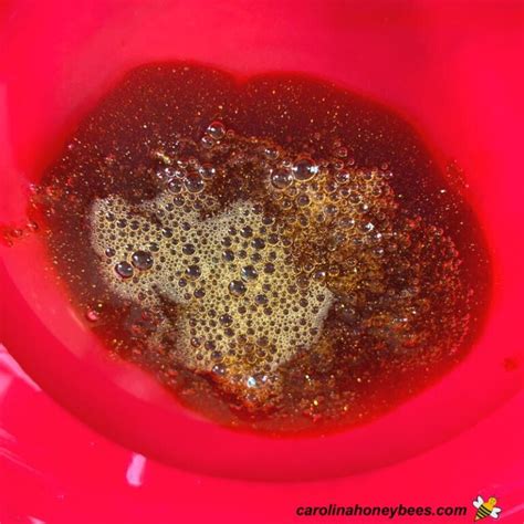 How to Make Honey Slime- Carolina Honeybees