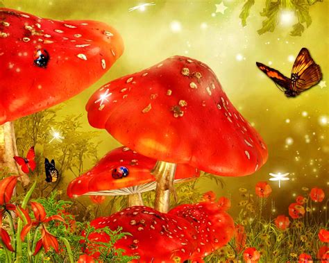 Mushrooms in Enchanted Forest HD wallpaper download