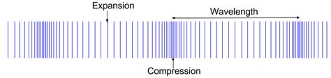 Transverse wave Definition, Characteristics, Examples, Diagram - sghcairo.net