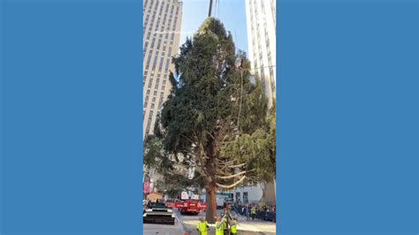 Rockefeller Center Christmas tree arrives in NYC - Good Morning America