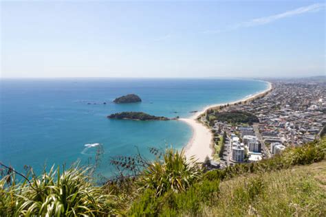 460+ Tauranga Bay Stock Photos, Pictures & Royalty-Free Images - iStock