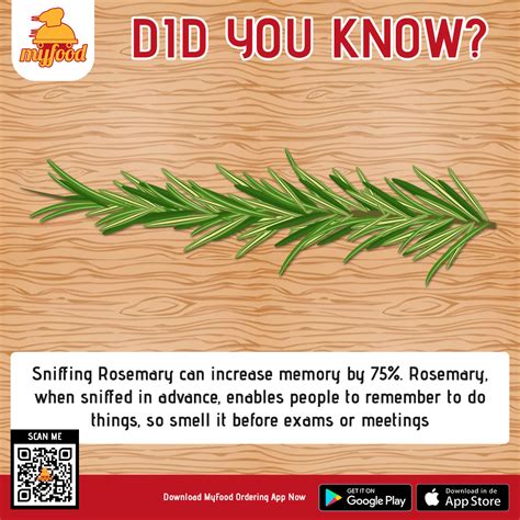 Rosemary has been linked to memory for hundreds of years. | Best meal delivery, Human memory ...