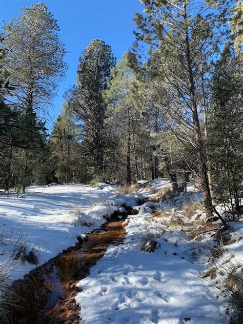 Hiking Trails In Payson, Arizona, USA - Nightborn Travel