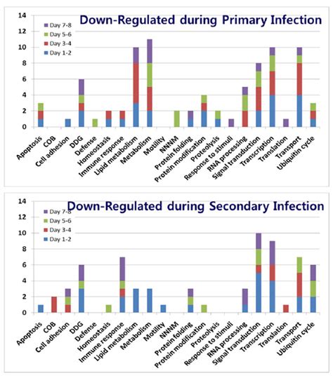 Biological processes of Gene Ontology of down-regulated genes during... | Download Scientific ...