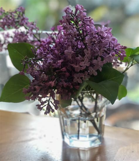 Lilac Bouquet 2 | The Taste Tourist