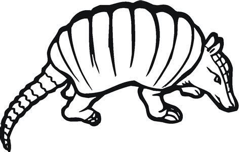 Armadillo Clip Art - Cliparts.co