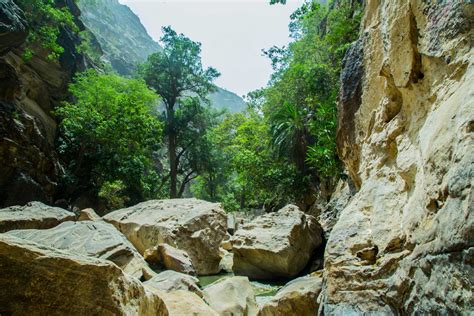 Wadi Lajab - Jazan Province in The Jazan Province - Welcome Saudi