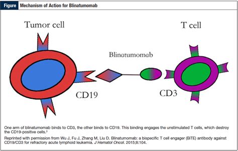 Blinatumomab: a Bispecific CD19-Directed CD3 T-Cell Engager | Value-Based Cancer Care