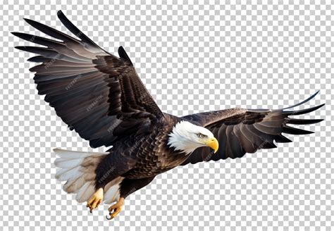 Bald Eagle Flying Isolated on Transparent Background | Premium AI ...