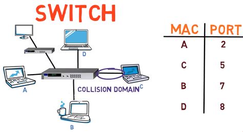 Network Devices – How Hubs and Switches Work and How to Secure Them