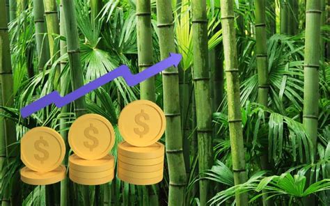 What Is Sustainable Bamboo Construction? (Pros and Cons) – Building ...